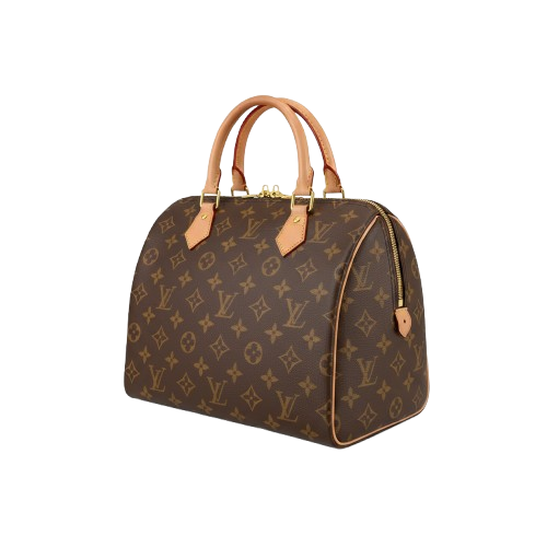 Bolsa Louis Vuitton